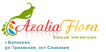 Azalia Flora