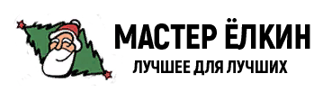 Мастер Елкин