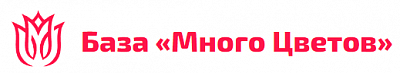 Цветочная База Много Цветов