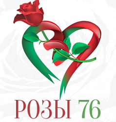 Розы76
